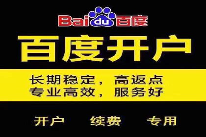 某电商平台的SEM优化案例分享